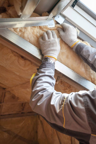 Eco-Friendly or Green Insulation Solutions in Nowthen, MN